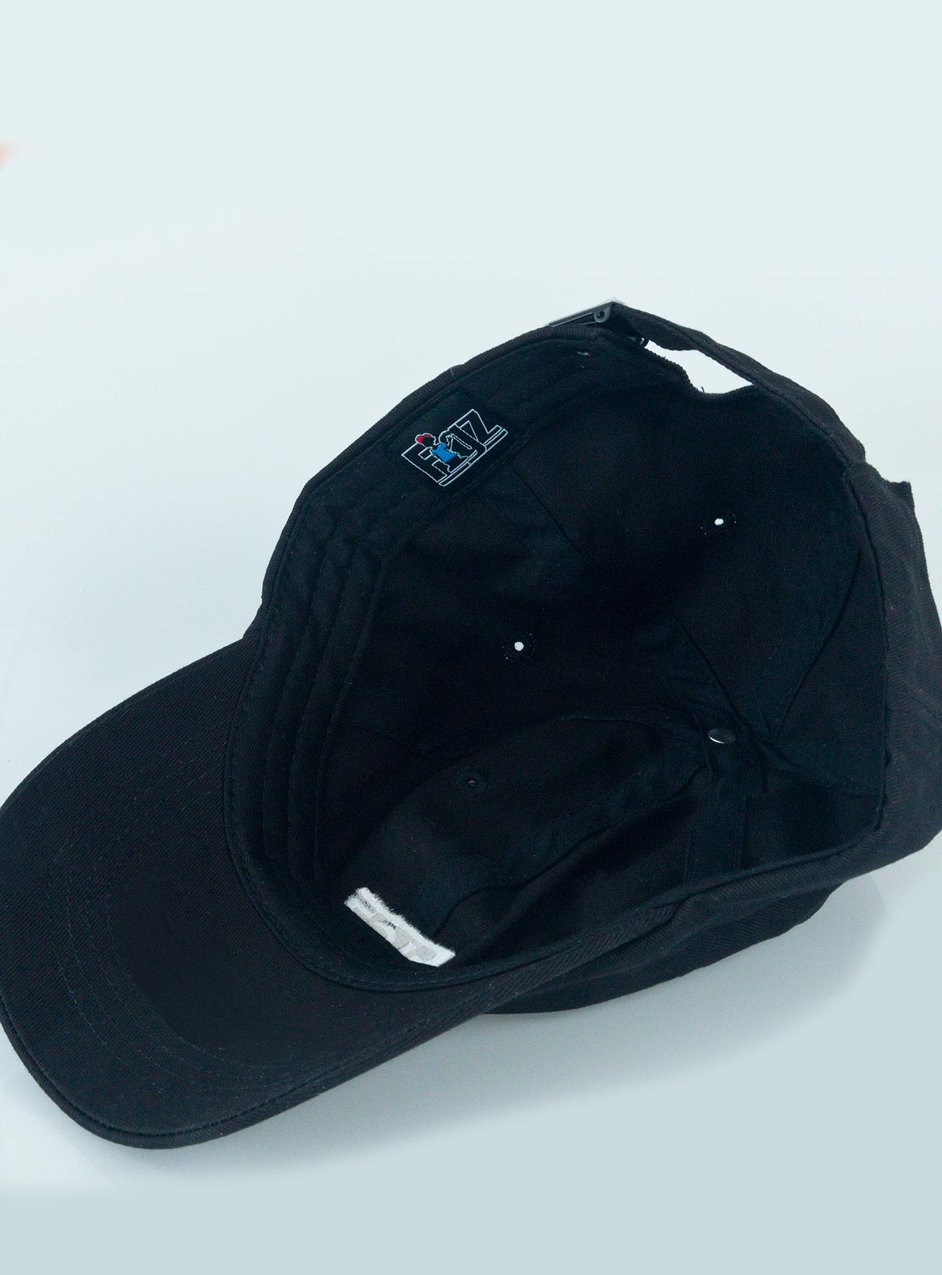 Figz Dad Hat | Polarbear Figz Dad Hat | Polarbear