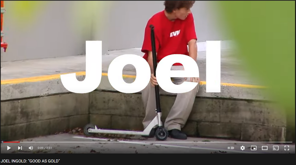 JOEL INGOLD: 