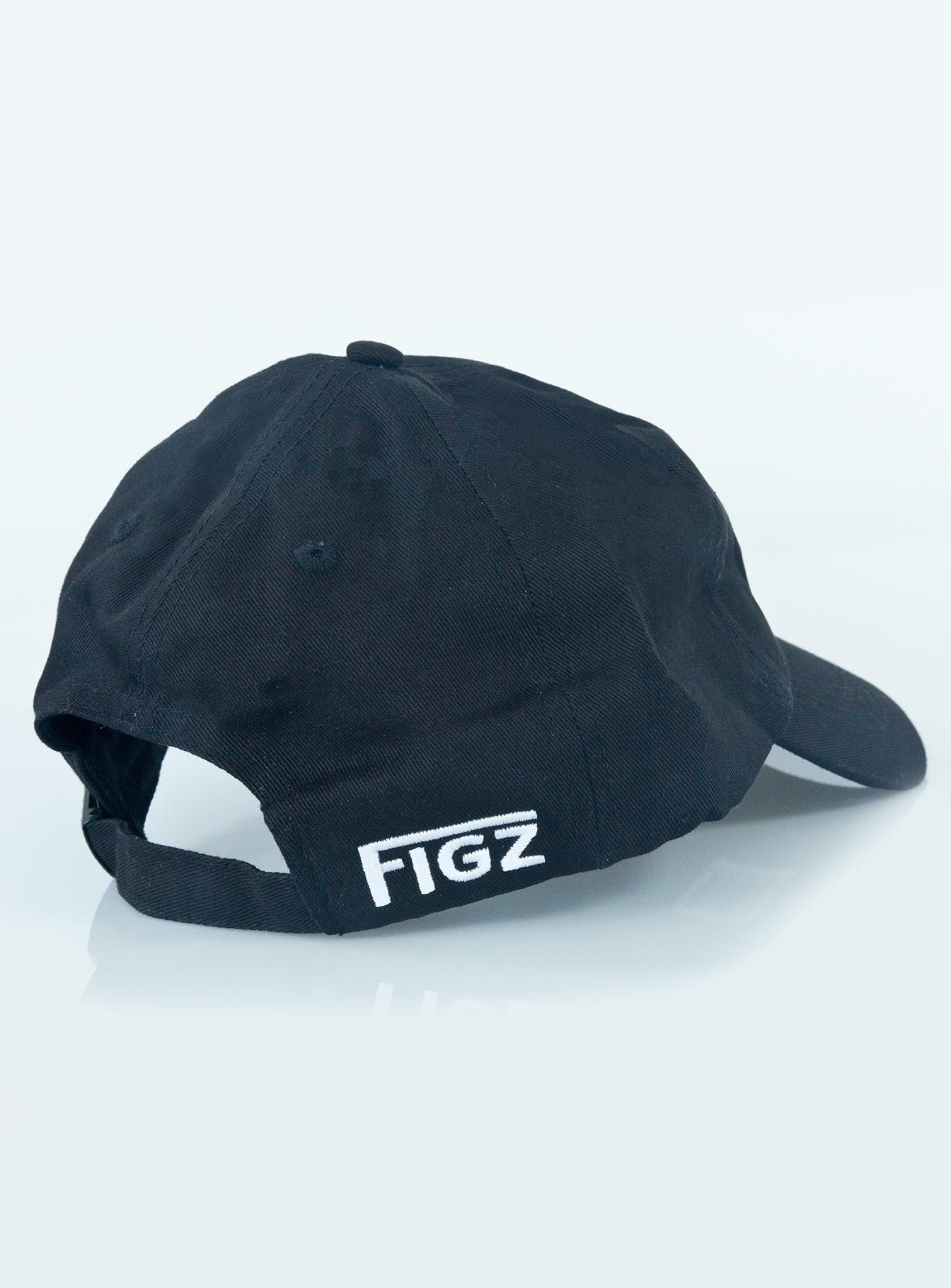 Figz Dad Hat | Polarbear